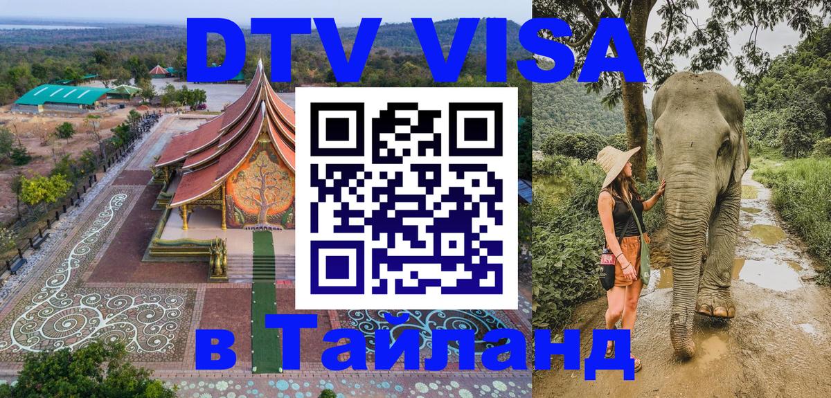 Оформление DTV визы под ключ: стоимость и тарифы, только загранпаспорт - Мурино 